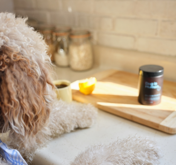Dog Nutrition Image